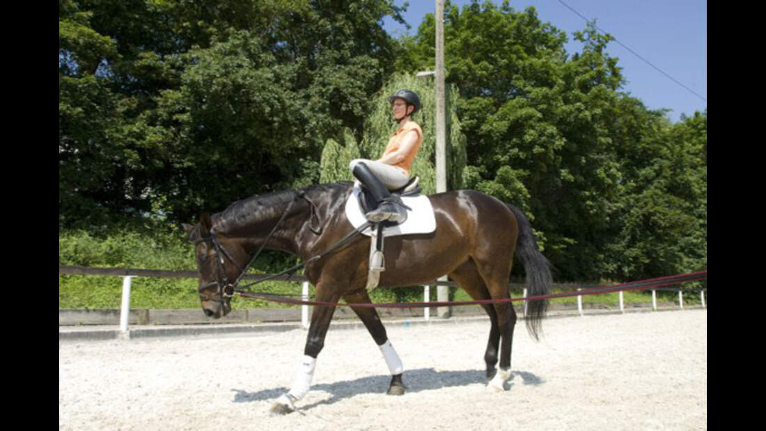 Pro und Contra: Besser reiten ohne Steigbügel? | cavallo.de