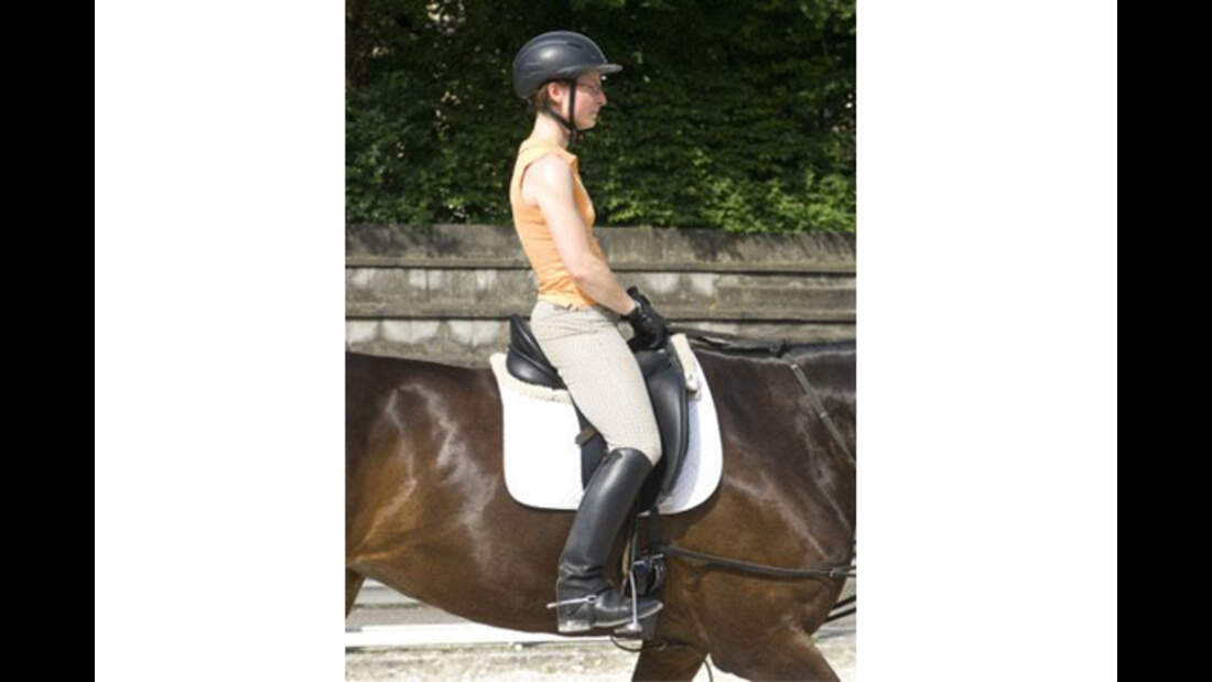 Sitzlonge für korrekten Sitz cavallo.de