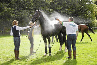 CAV_0811_Praxistest_Waterboy (jpg)