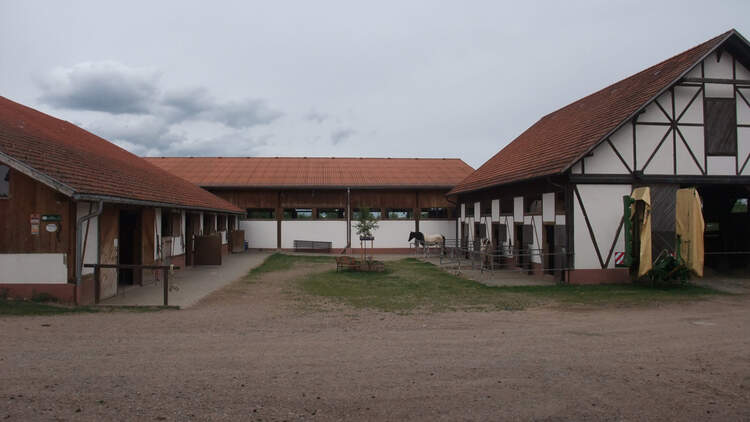 CAV_0811_Reitschultest_Araberhof_1 (jpg)