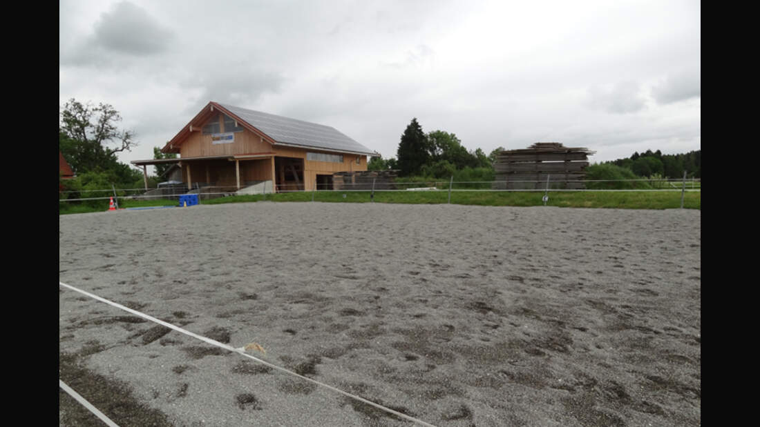 CAV-0812-Reitschultest-Hafnersholt-2 (jpg)