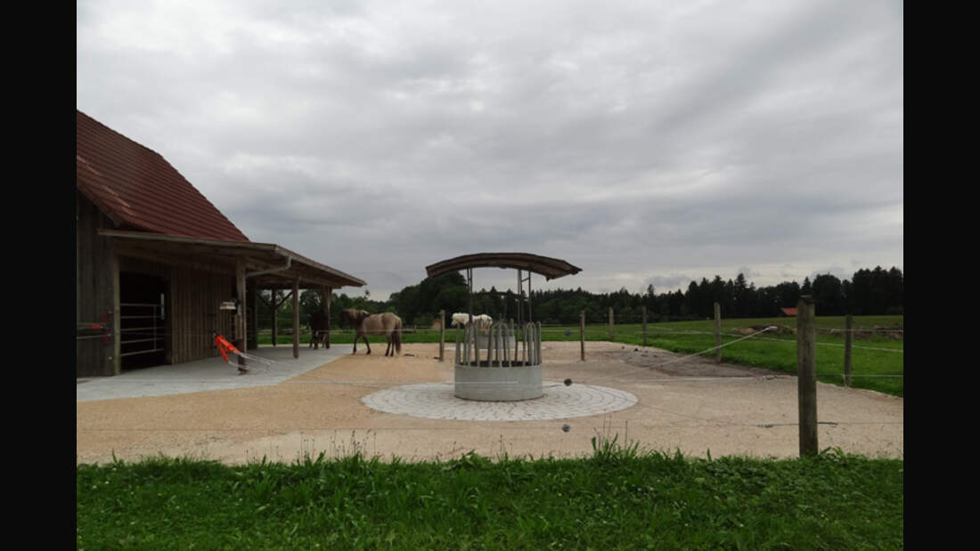 CAV-0812-Reitschultest-Hafnersholt-3 (jpg)