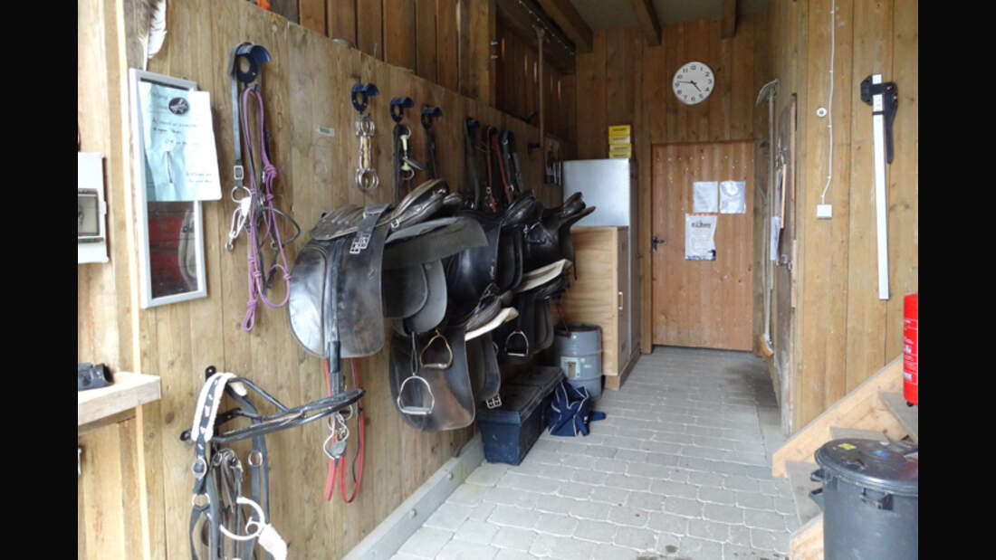 CAV-0812-Reitschultest-Hafnersholt-4 (jpg)