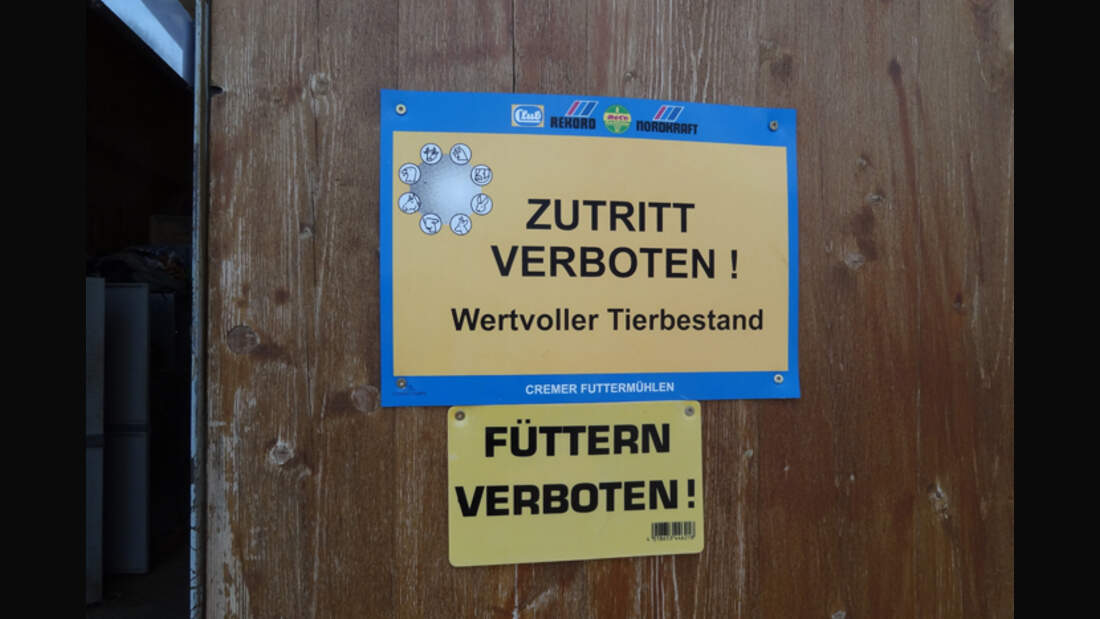 CAV-0812-Reitschultest-Heimpelhof-3 (jpg)