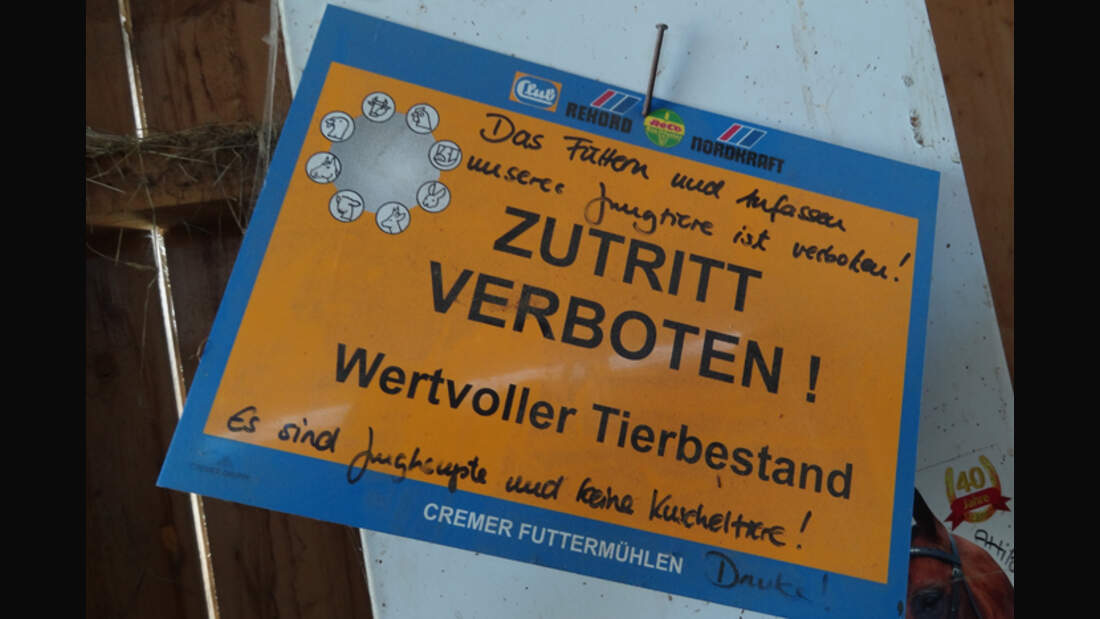 CAV-0812-Reitschultest-Heimpelhof-4 (jpg)