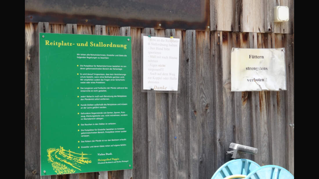 CAV-0812-Reitschultest-Heimpelhof-5 (jpg)