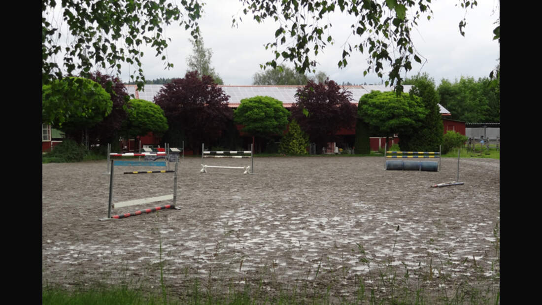 CAV-0812-Reitschultest-Taubenberg-2 (jpg)