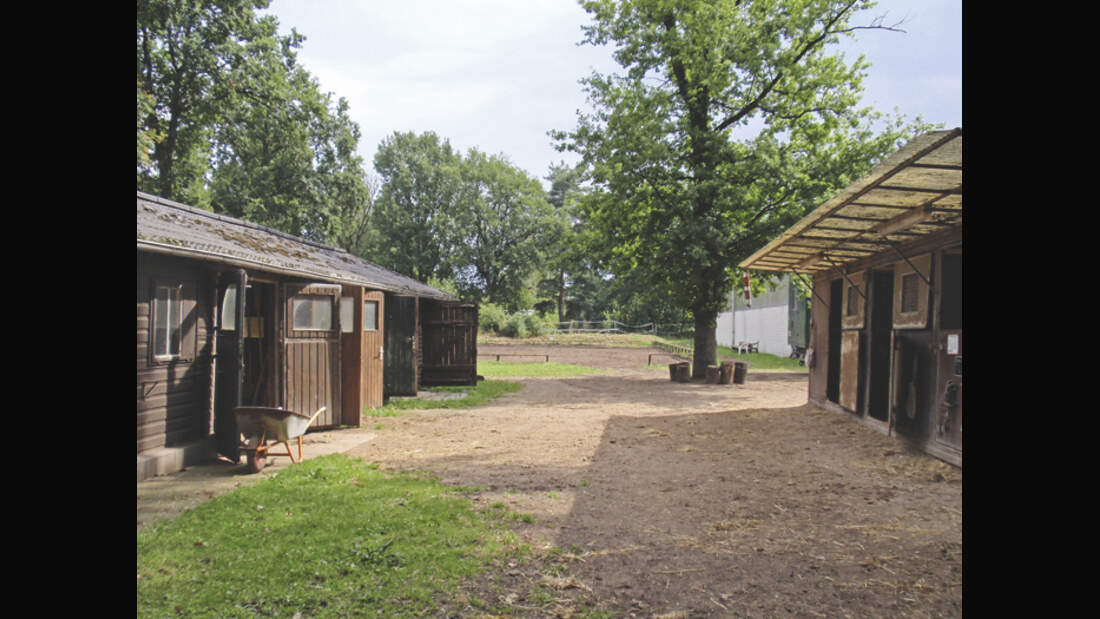 CAV 0909 Reitschultest 7 (jpg)