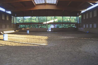 CAV_0910_Reitschultest_Verther2 (jpg)