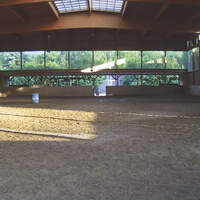 CAV_0910_Reitschultest_Verther2 (jpg)