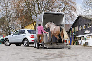 Test Welches Auto Passt Zu Welchem Reiter Cavallo De