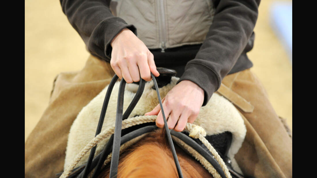 Trau Dich Reiten Mit Halsring Cavallo de