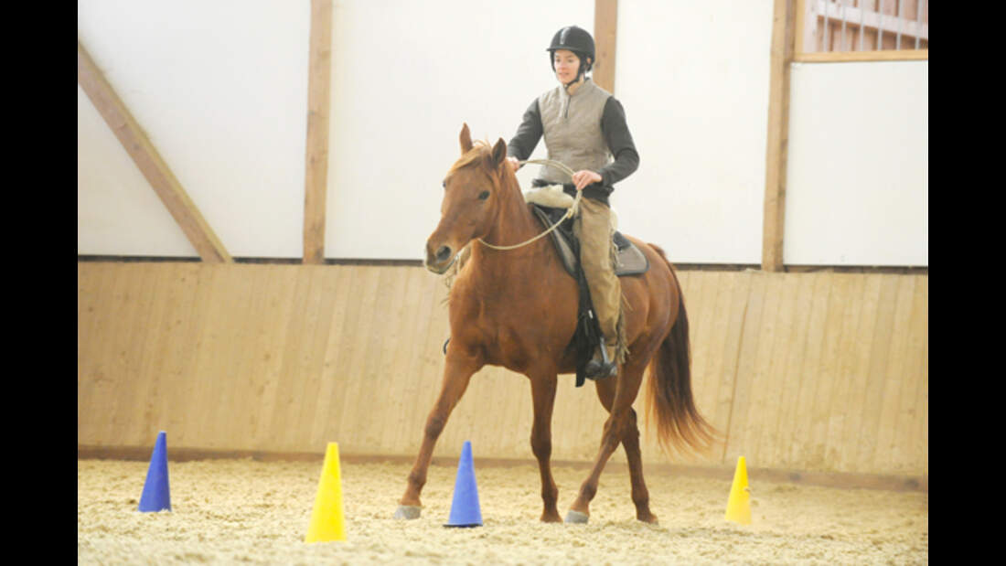 CAV 1010 Reiten mit Halsring 12