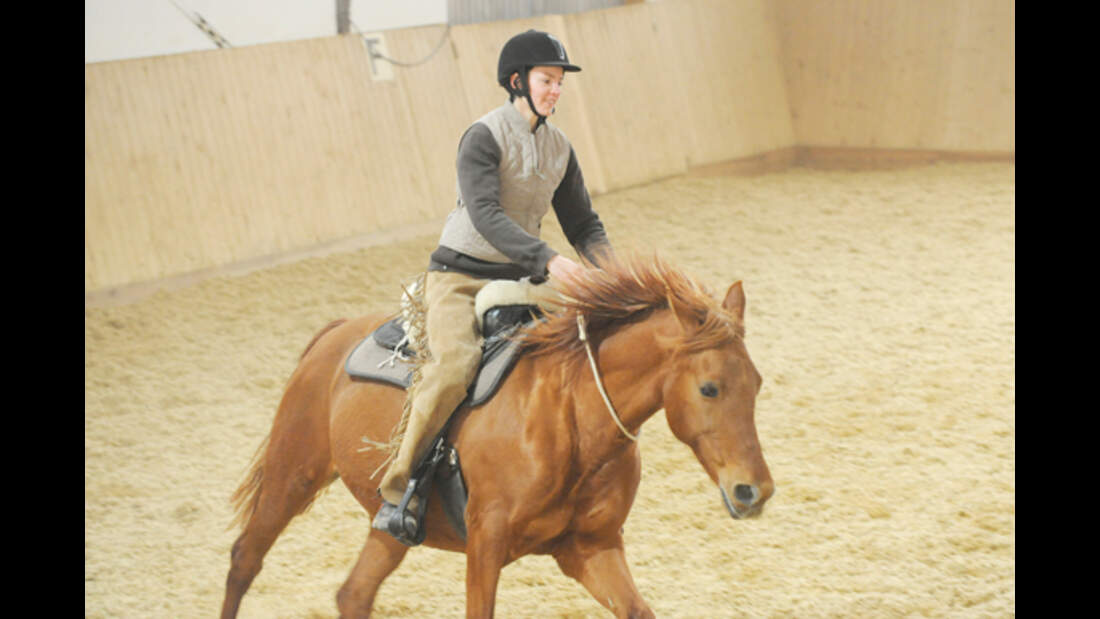 CAV 1010 Reiten mit Halsring 13