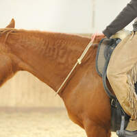 CAV 1010 Reiten mit Halsring 4