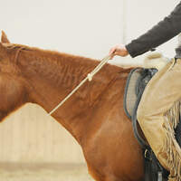 CAV 1010 Reiten mit Halsring 5