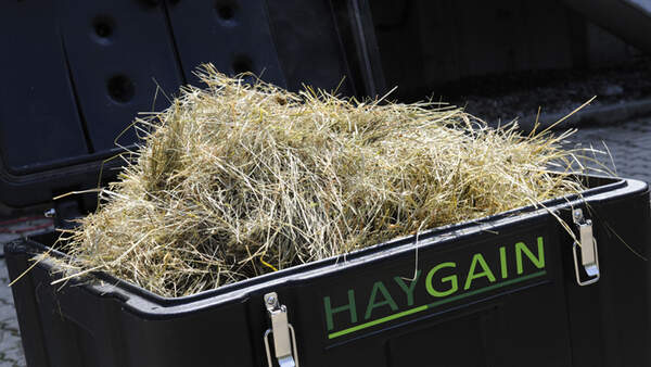 CAV-1011-Heubedampfer-Haygain (jpg)