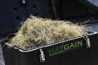 CAV-1011-Heubedampfer-Haygain (jpg)