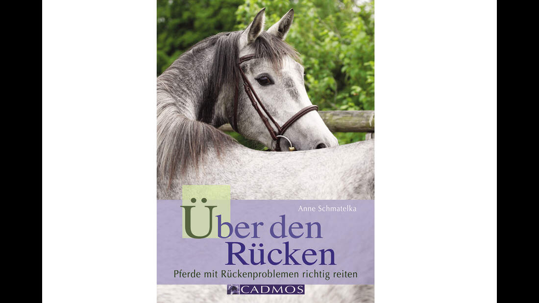 CAV 1011_LaL_Ueber-den-Ruecken_2 (jpg)