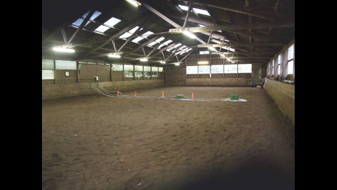 CAV_1110_Reitschultest_Marlie-5005 (jpg)