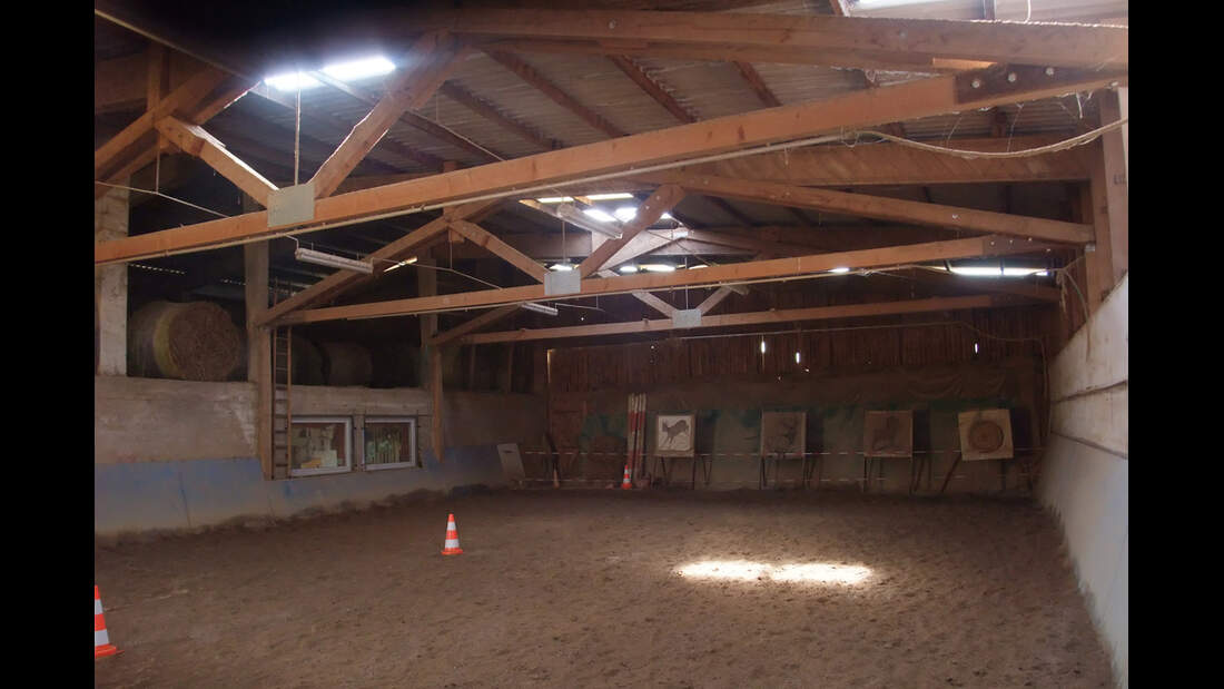 CAV-1111-Reitschultest-Kraichgau-Moonlight-Ranch-2 (jpg)