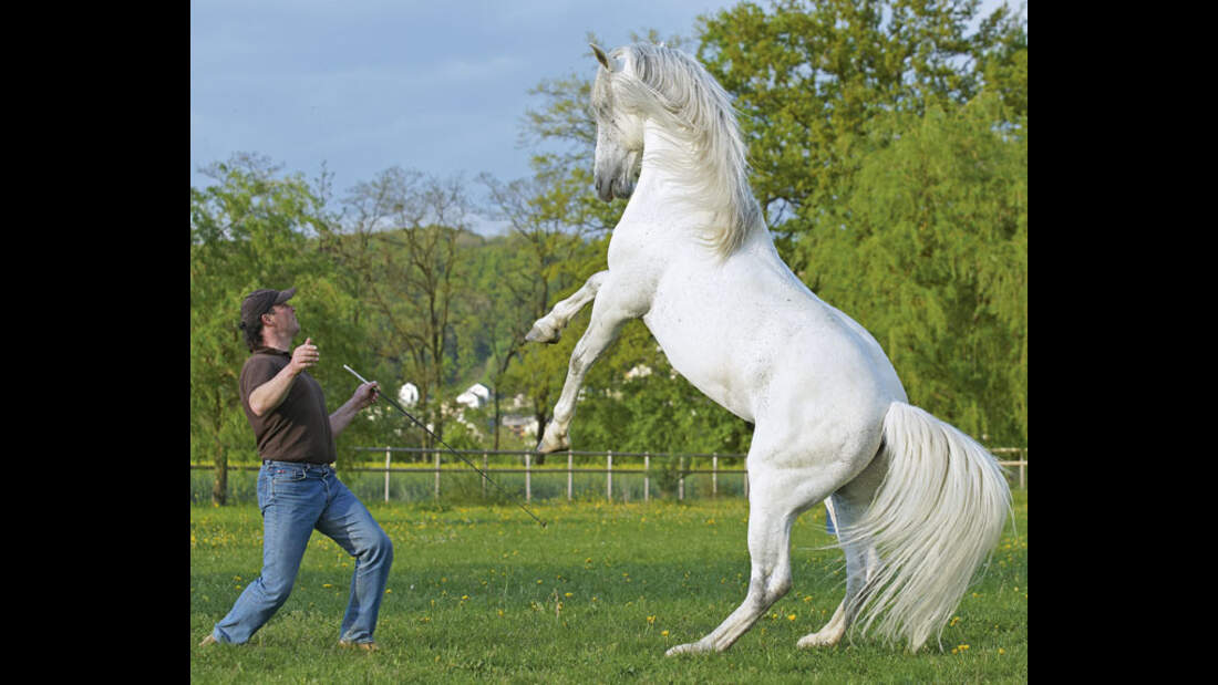 CAV 12_2010 Horsemanship Ausbilder_Reitweisen-Vergleich_Wanzenried_Schoenewald (jpg)