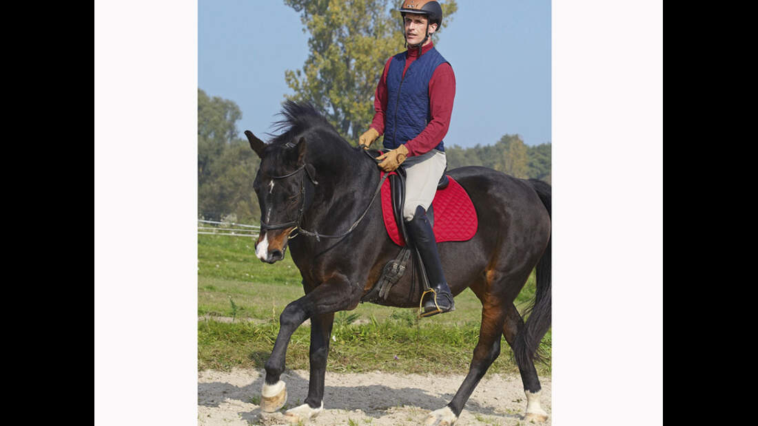 CAV 12_2010-Pferd-locker-reiten_Schoenewald_05 (jpg)