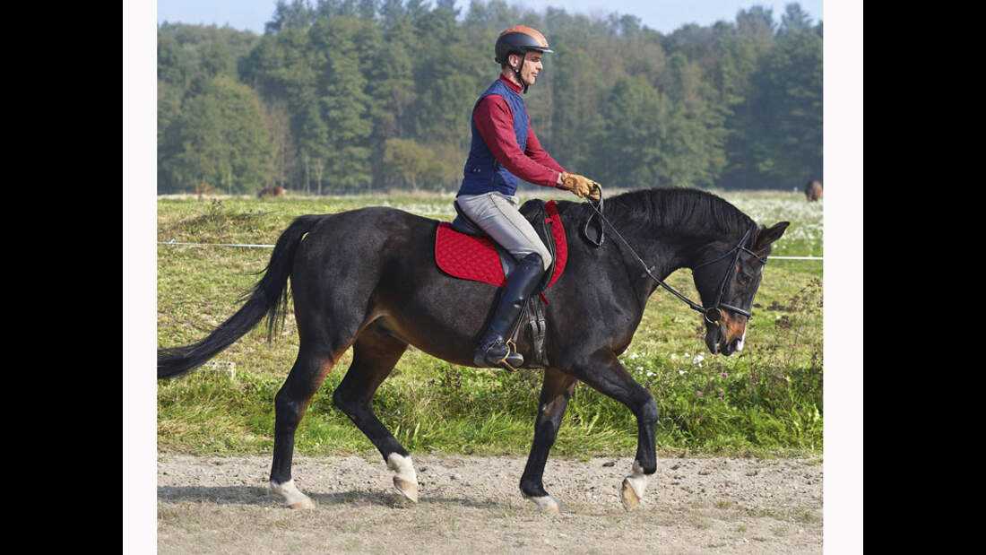CAV 12_2010-Pferd-locker-reiten_Schoenewald_06 (jpg)