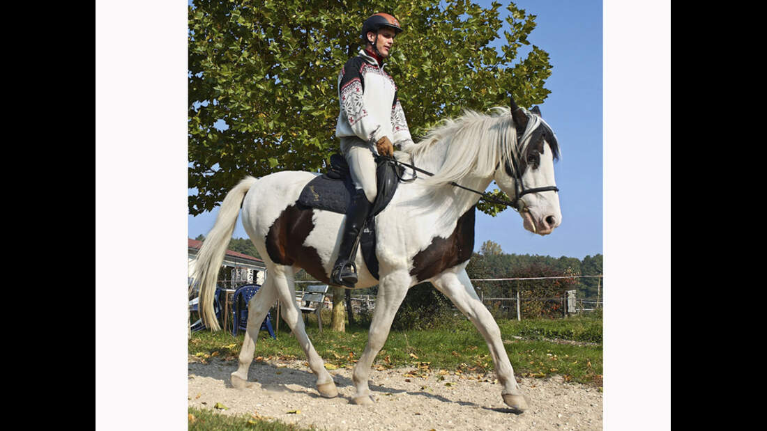 CAV 12_2010-Pferd-locker-reiten_Schoenewald_14 (jpg)