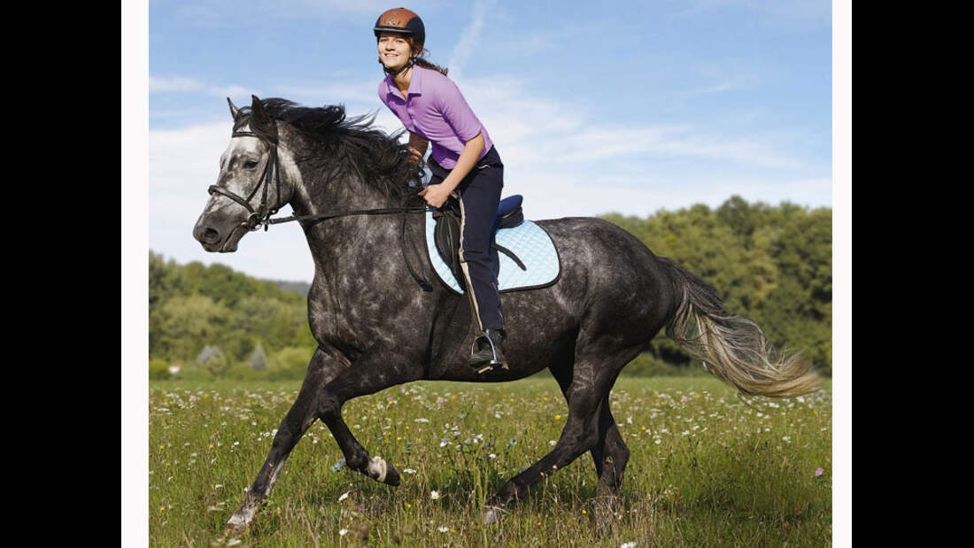 CAV 12_2010-Pferd-locker-reiten_Schoenewald_15 (jpg)