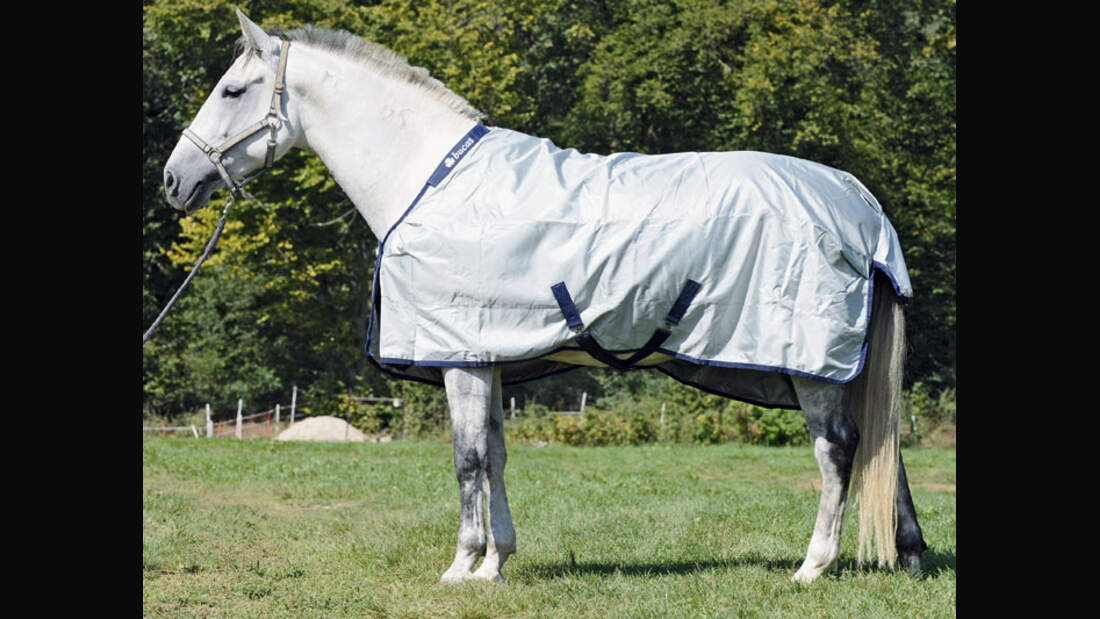 CAV 12_2010 Test Regendecken_Bucas_LIR9906 (jpg)