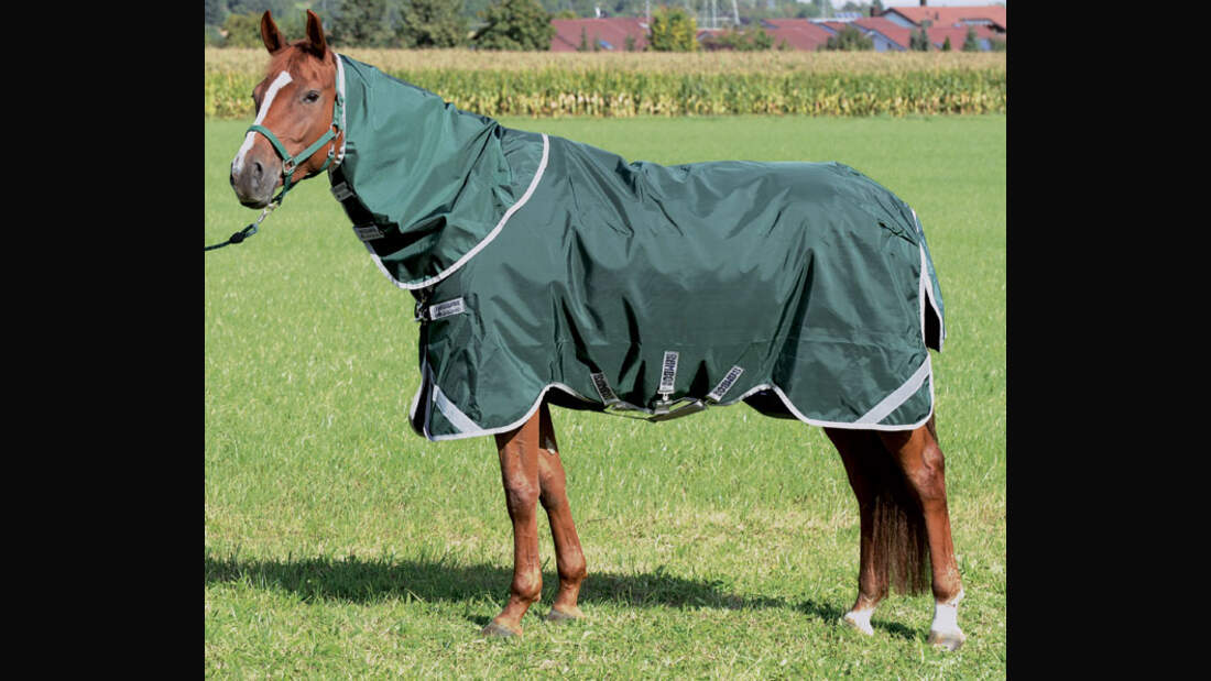 CAV 12_2010 Test Regendecken_Horseware_LIR9309 (jpg)