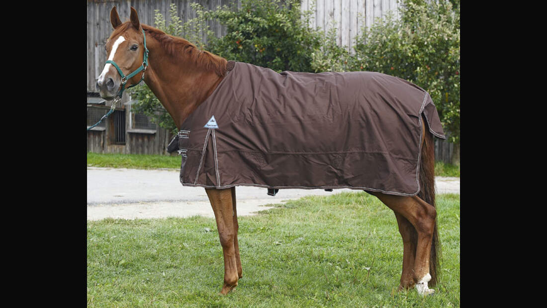 CAV 12_2010 Test Regendecken_RegendeckenEqui-Theme_Schoenewald (jpg)