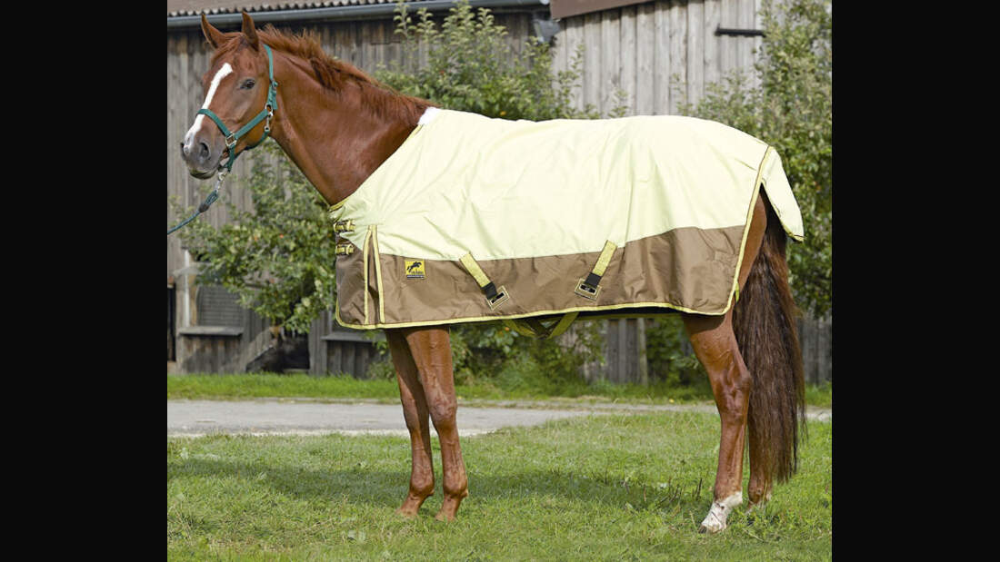 CAV 12_2010 Test Regendecken_RegendeckenFelix-Buehler_Schoenewald (jpg)