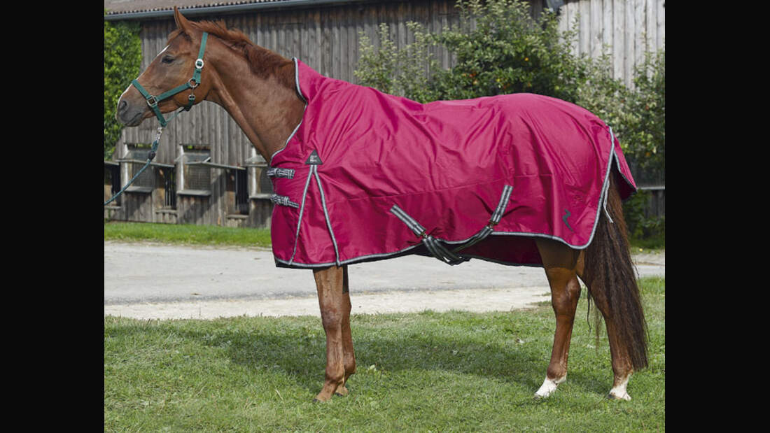 CAV 12_2010 Test Regendecken_RegendeckenHorze_Schoenewald (jpg)