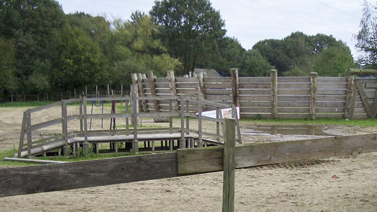 CAV_1210_Reitschultest_Horsefeelings_CIMG7751 (jpg)