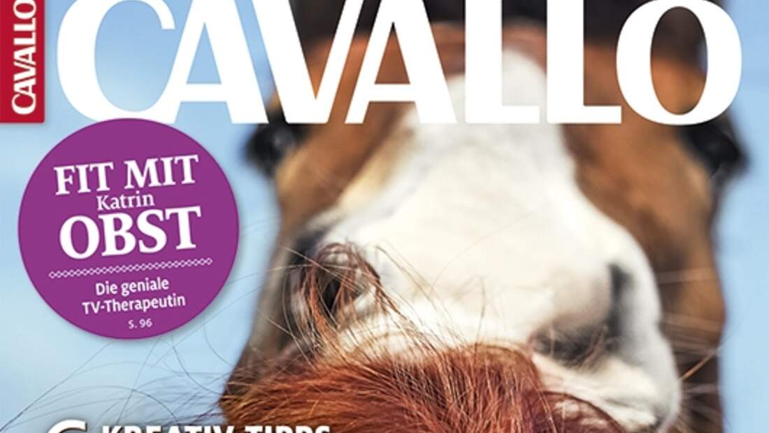 CAV 52019 Teaser Cover Titel