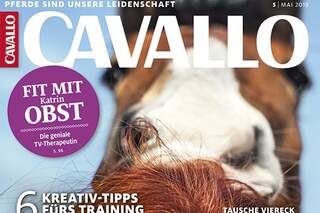 CAV 52019 Teaser Cover Titel