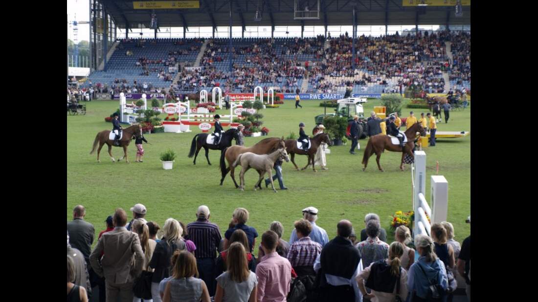 CAV Aachen CHIO 2011 Meredith Michaels-Beerbaum Ladies Day -13