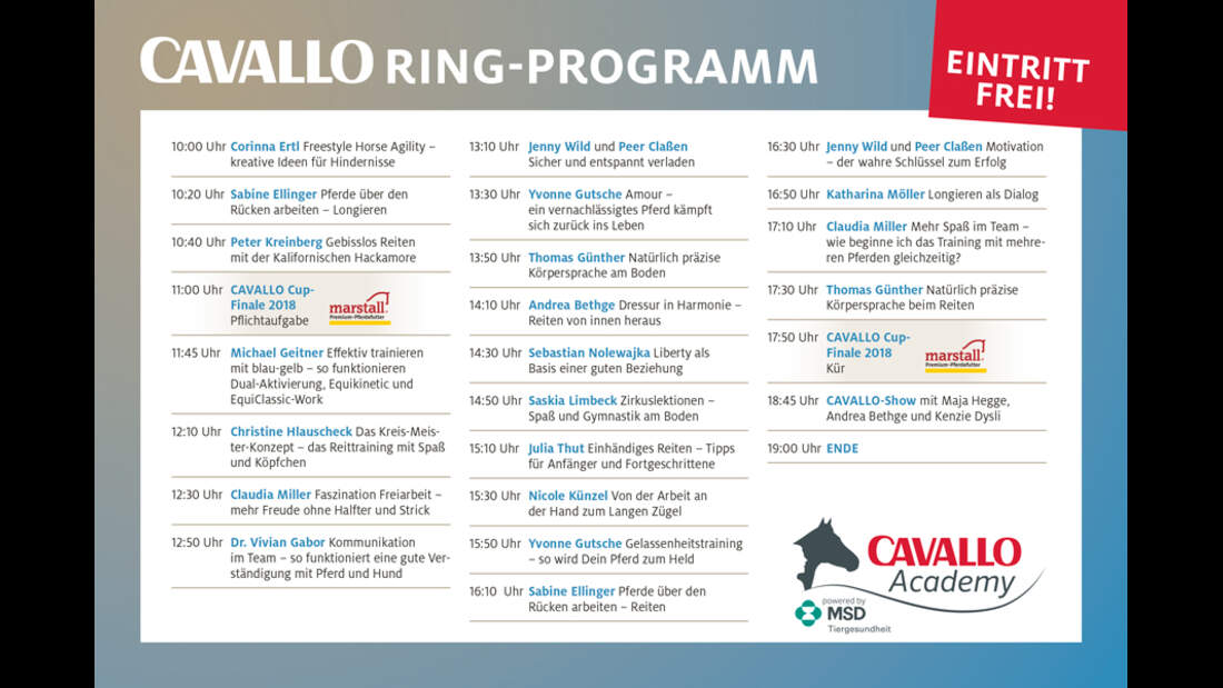 CAV Academy Programm Ring 2018
