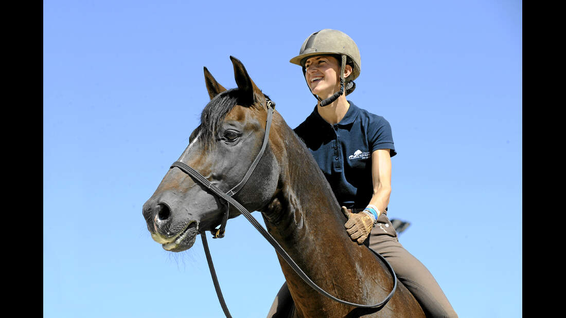 CAV Alizée Froment Gebisslos Dressur