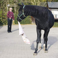 CAV Apportieren Bild 6