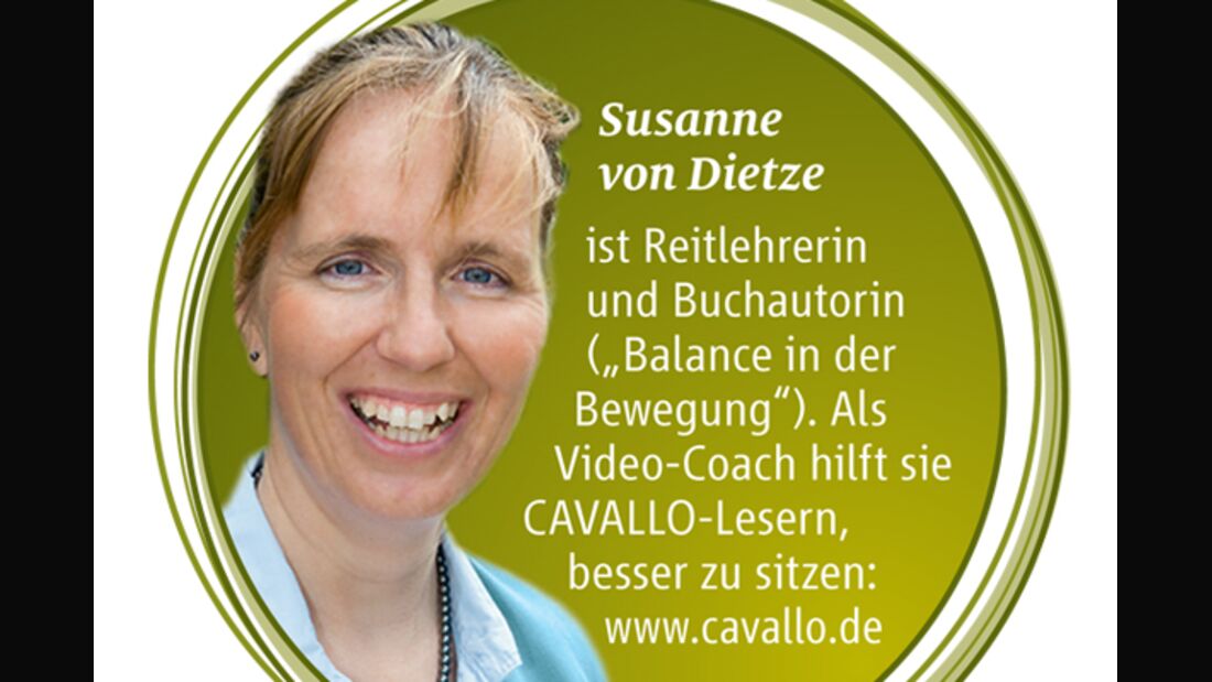 CAV Aussitzen Dressur Dietze Standpunkt - Susanne von Dietze