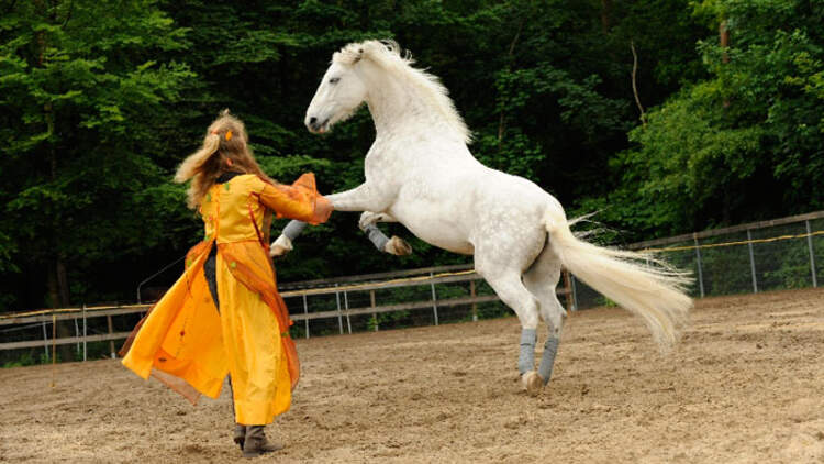 Trau Dich Reiten Mit Halsring Cavallo de