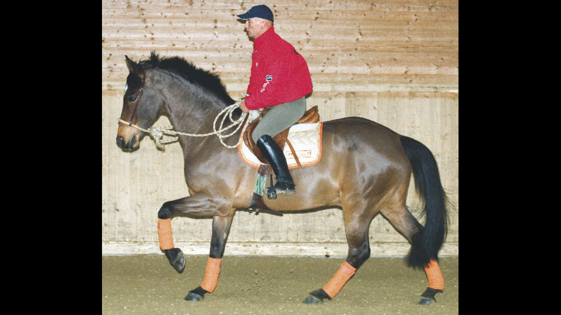 CAV Bosal Jürgen Krackow Bild 4