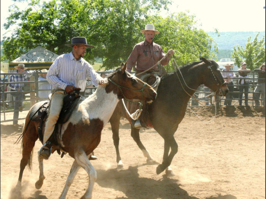 Cavallo bekanntschaften