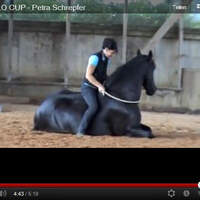 CAV CAVALLO Cup 2012 Finale Petra Schrepfer