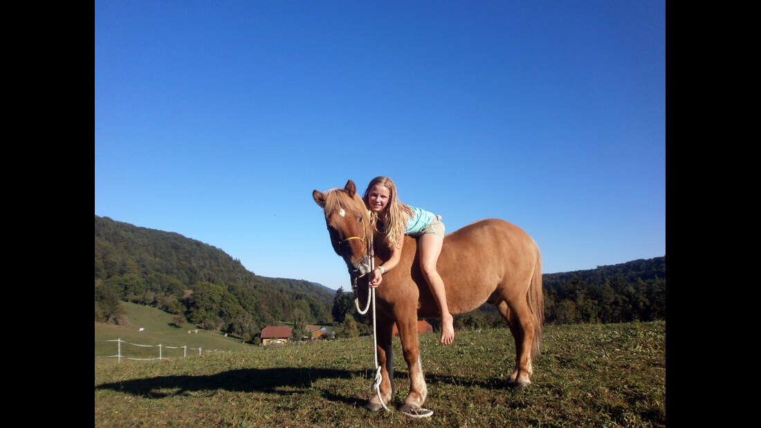 CAV CEWE Fotowettbewerb 2013 Leserfotos Alfe Toussaint - Lesertext: Jedes Jahr fahren wir mit einer Kindergruppe und den Ponys 2 Wochen in den Schwarzwald.
Die Herde freut sich immer unheimlich über die große Weide, wie auf dem ersten Bild unschwer zu erk