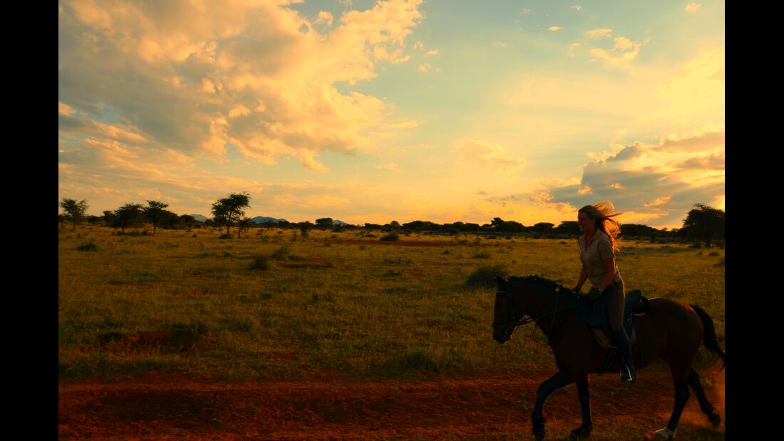 CAV CEWE Fotowettbewerb 2013 Leserfotos Christina Müller - Lesertext: Dieses Bild wurde im namibischen Busch aufgenommen, wo ich 3
Monate auf einer Lodge als Pferdemädchen verbracht habe.
Es war eine wunderschöne Zeit, und zeigt meine große
Pferde-Leidens