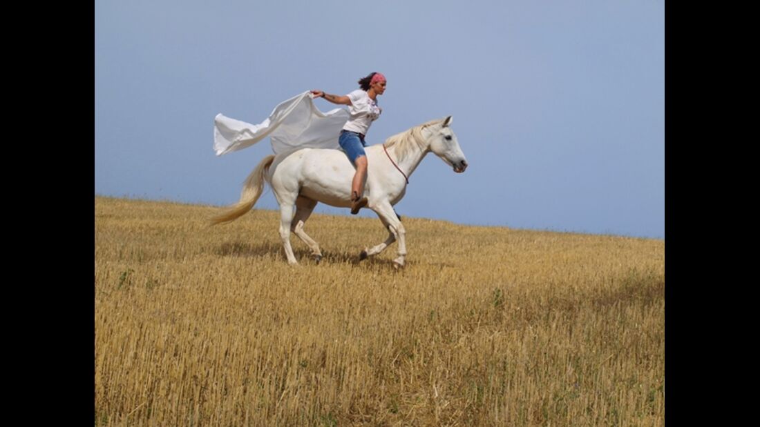 CAV CEWE Fotowettbewerb 2013 Leserfotos Claudia Pflüger - Lesertext: auf dem ersten Bild ist meine 20 jährige Pony-Araberdame Lady Anjuli beim flitzen übers Feld. 
das zweite Bild zeigt unseren Jungspund Seth, der ein arabisches Halbblut ist, und meinem M